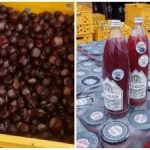 Divje rastline - pravi denar: skrivnosti donosnega poslovanja iz ukrajinskih gozdov Divje rastline – pravi denar: skrivnosti donosnega poslovanja iz ukrajinskih