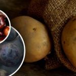 Dobri dehidratorji: nepričakovani sosedje pomagajo krompirju, da ne zgnije Dobri dehidratorji: nepričakovani sosedje pomagajo krompirju, da ne zgnije