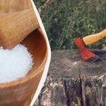 Kako hitro uničiti drevesni štor, ne da bi ga izkoreninili: za njim ne bo ostala nobena sled Kako hitro uničiti drevesni štor, ne da bi ga izkoreninili: