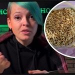 Kako izbrati sadike jabolčnika in presenetiti sosede s pridelkom: vrtnar je dal učinkovite nasvete Kako izbrati sadike jabolčnika in presenetiti sosede s pridelkom: vrtnar