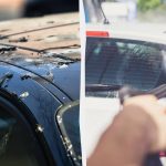 Ptice ne bodo več srale na avtomobile: tukaj je opisano, kaj morate storiti Ptice ne bodo več srale na avtomobile: tukaj je opisano,