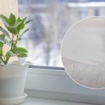 Rezultat vas bo presenetil: recept za sredstvo, ki bo pobelilo plastično okensko polico Rezultat vas bo presenetil: recept za sredstvo, ki bo pobelilo