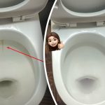 Z enim izdelkom boste straniščno školjko pobelili do popolnega sijaja: kako se v 15 minutah znebiti zobnih oblog in umazanije Z enim izdelkom boste straniščno školjko pobelili do popolnega sijaja: